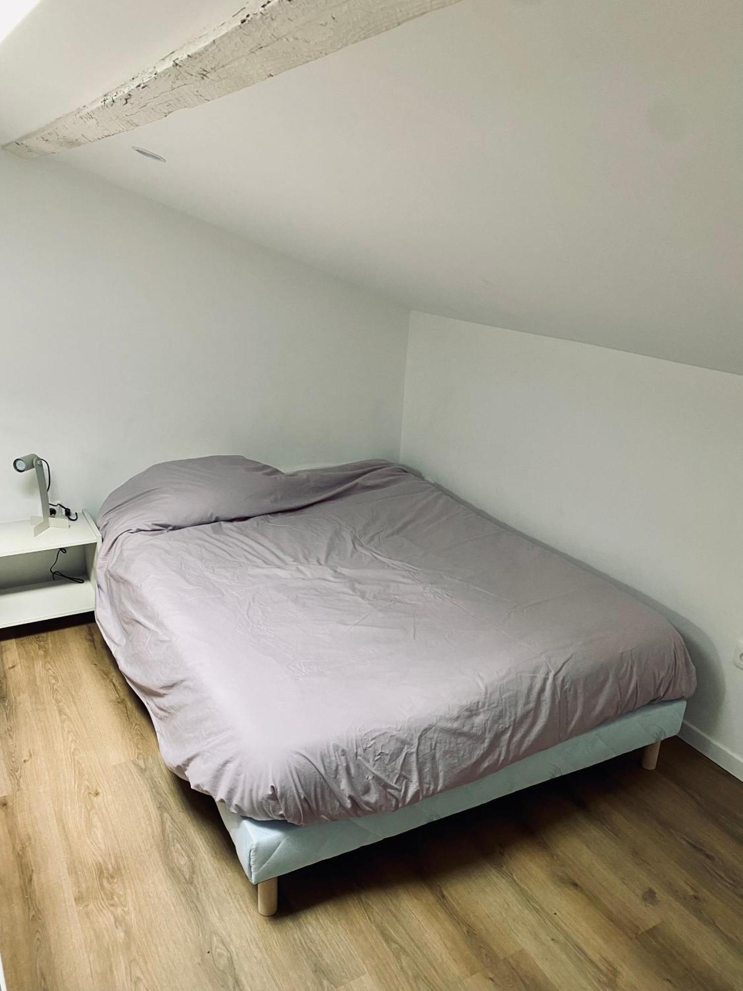 L'Echappee Belle D'Albi Apartment Екстериор снимка